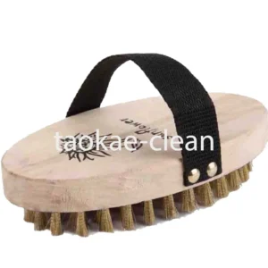 แปรงทองเหลืองรูปไข่