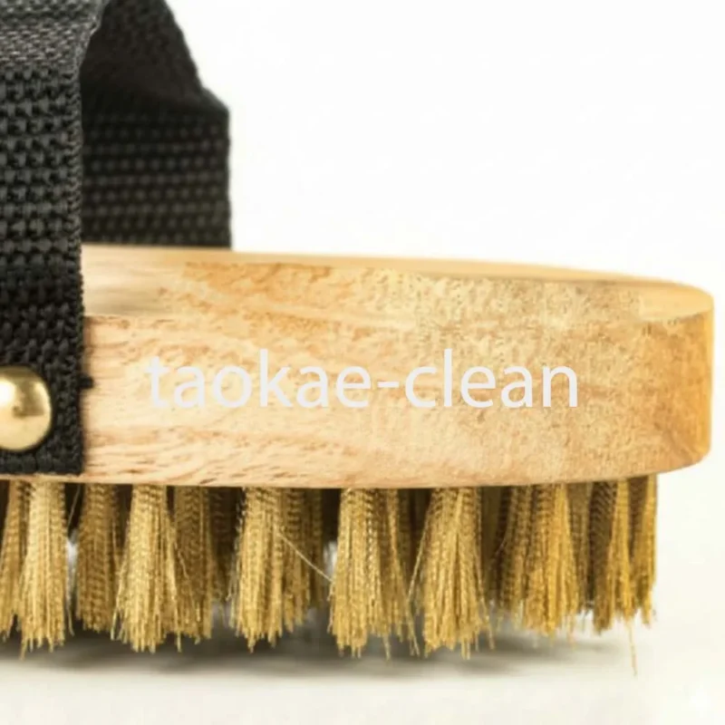 แปรงทองเหลืองรูปไข่