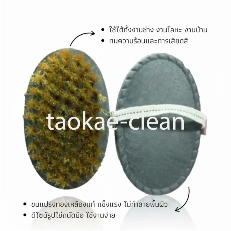 แปรงทองเหลืองรูปไข่