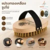 แปรงทองเหลืองรูปไข่