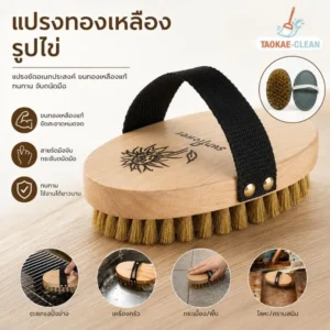 แปรงทองเหลืองรูปไข่