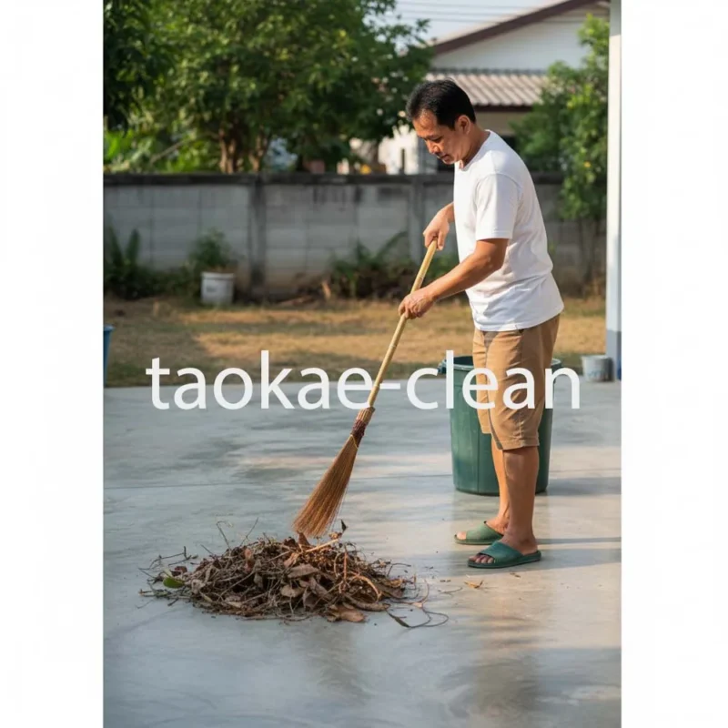 ไม้กวาดแข็ง/ไม้กวาดทางมะพร้าว