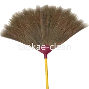 ไม้กวาดอ่อน1