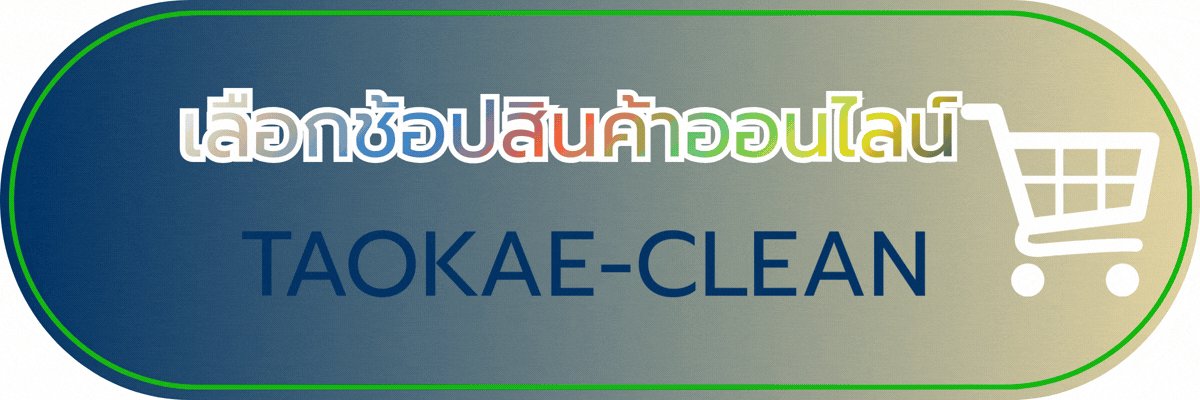 เลือกช้อปสินค้าออนไลน์