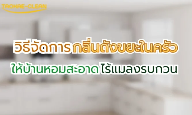 ถุงขยะ – วิธีจัดการกลิ่นถังขยะในครัว ให้บ้านหอมสะอาด ไร้แมลงรบกวน