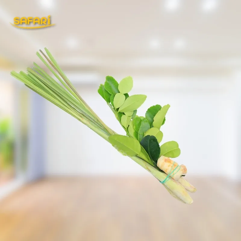 รับมือฤดูฝน: วิธีป้องกันเชื้อราและกลิ่นอับภายในบ้าน (พร้อมตัวช่วยทำความสะอาดที่ใช้จริง)