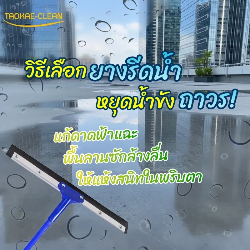 หยุดน้ำขังถาวร! วิธีเลือกยางรีดน้ำ ฉบับมือโปร แก้ดาดฟ้าแฉะ พื้นลานซักล้างลื่น ให้แห้งสนิทในพริบตา