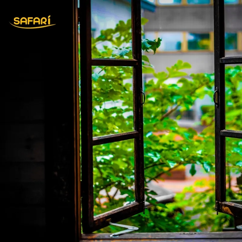 รับมือฤดูฝน: วิธีป้องกันเชื้อราและกลิ่นอับภายในบ้าน (พร้อมตัวช่วยทำความสะอาดที่ใช้จริง)