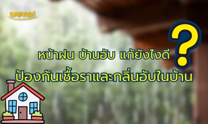 รับมือฤดูฝน: วิธีป้องกันเชื้อราและกลิ่นอับภายในบ้าน (พร้อมตัวช่วยทำความสะอาดที่ใช้จริง)
