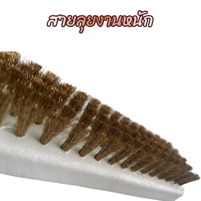 แปรงทองเหลือง VS แปรงไนล่อน ต่างกันอย่างไร? เจาะลึกวิธีเลือกซื้อแปรงขัดพื้น ให้สะอาดหมดจดโดยไม่ทำลายพื้นผิว